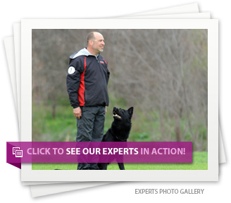 Click to see our experts in action!