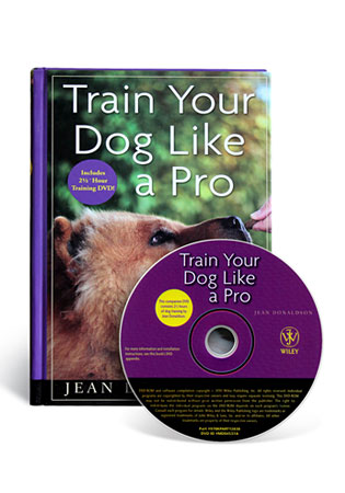 How To Train Dog To Listen To Commands How To Train Dog To Listen To Commands