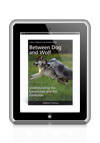 Between Dog and Wolf by Jessica Adams and Andrew Miller eBook