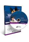 Grooming the Jack Russell Terrier for Companionship, Work and Show with Michelle Ward DVD