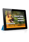 The German Shepherd Dog the German Way Video 4- Advanced Training, Conditioning and Handling with Ricardo Carbajal Streaming