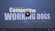 The Foundations of Competitive Working Dogs Obedience 3- Heeling, Recall and Motion