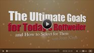 The Ultimate Goals for Today's Rottweiler and How to Select for Them