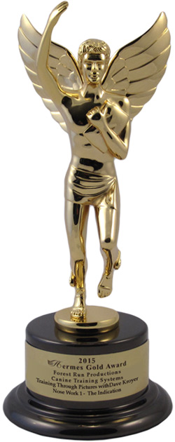 The Hermes Creative Awards