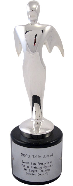 The Telly Awards