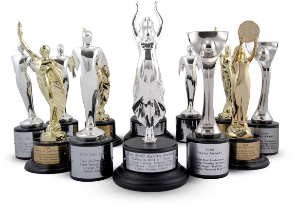 The 2006 Aurora Awards