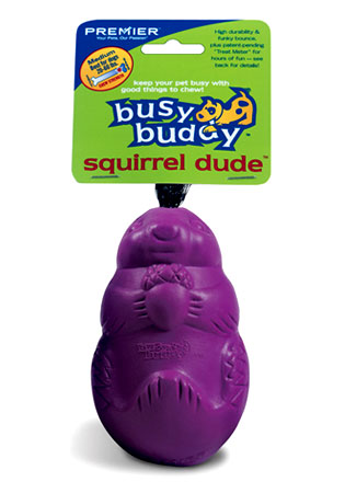 PetSafe Busy Buddy Twist 'n Treat Dispensing Dog Toy - Medium,Purple,Large  Breeds