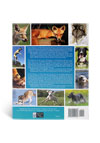 Canine Behavior A Photo Illustrated Handbook