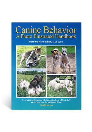 B-CANINEBEHAVIOR