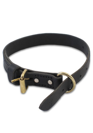 CTS Leather Collar Unbuckled
