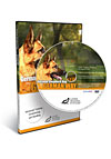 The German Shepherd Dog the German Way Video 4- Advanced Training, Conditioning and Handling