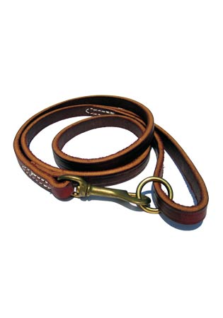 Obedience Lead with Brass O-Ring