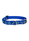 Lupine Combo Collar- Dapper Dog