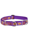 Lupine Combo Collar