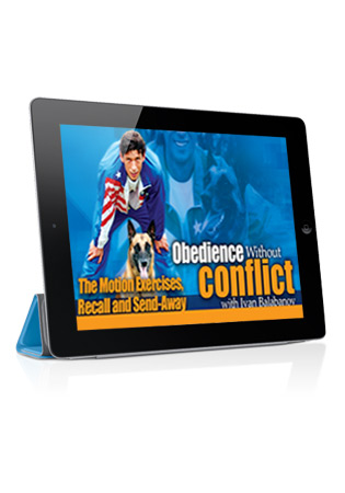 Obedience without Conflict with Ivan Balabanov Video 4- The Motion Exercises, Recall and Send-Away