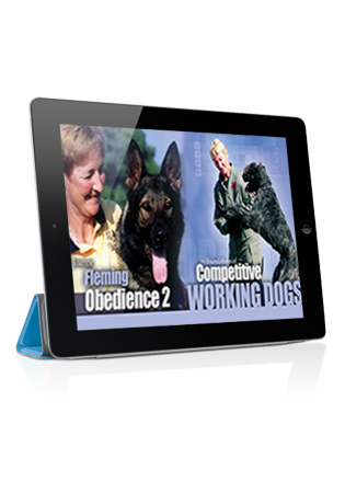 The Foundations of Competitive Working Dogs Obedience 2- Teaching Precision Streaming (German)