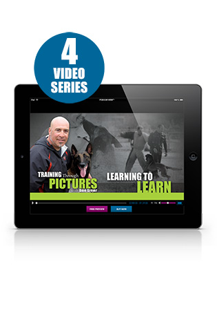 Training Through Pictures with Dave Kroyer Video 1, 2, 3, 4 Set Streaming