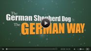 The German Shepherd Dog the German Way Video 1- Gait and Locomotion