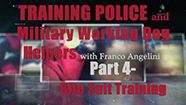 Training the Police and Military Working Dog Helper with Franco Angelini - Part 4 - Bite Suit Mechanics