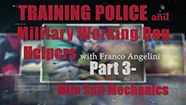 Training the Police and Military Working Dog Helper with Franco Angelini - Part 3 - Bite Suit Training