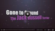 Gone to Ground- The Jack Russell Terrier