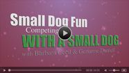 Small Dog Fun Competing with a Small Dog- Novice Obedience