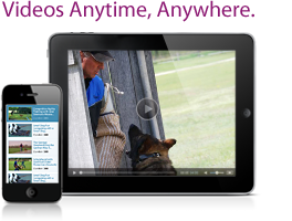 Videos anytime, anywhere